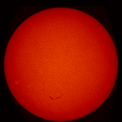 Image of Sun's chromosphere