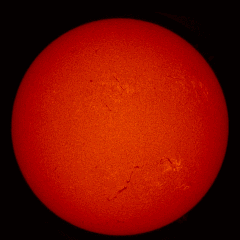 Image of Sun's chromosphere