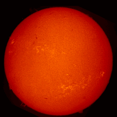 Image of Sun's chromosphere