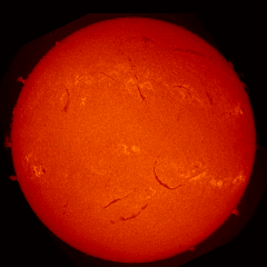 Image of Sun's chromosphere