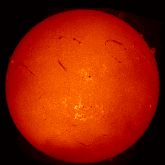 Image of Sun's chromosphere