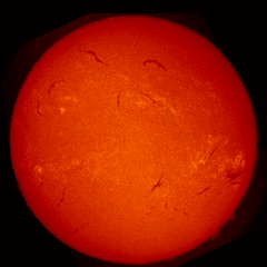 Image of Sun's chromosphere