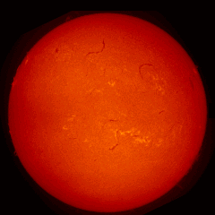 Image of Sun's chromosphere