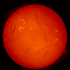 Image of Sun's chromosphere