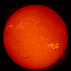 Image of Sun's chromosphere