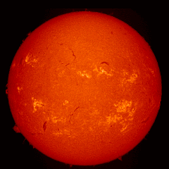 Image of Sun's chromosphere