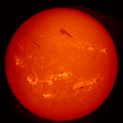 Image of Sun's chromosphere