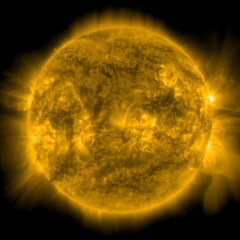 Image of Sun's corona