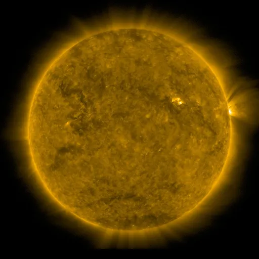 Solar Corona