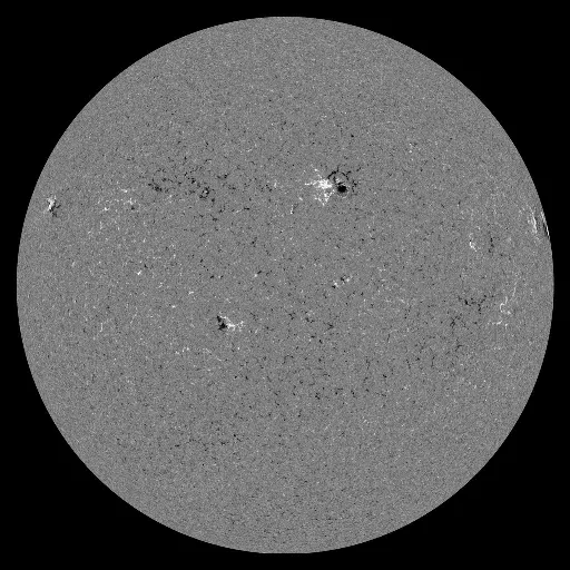 Solar Magnetic Fields