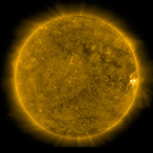 Solar Corona