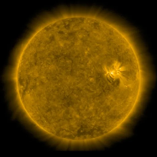 Solar Corona