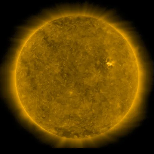 Solar Corona