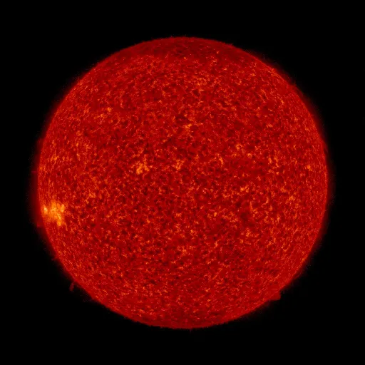 Solar transition region