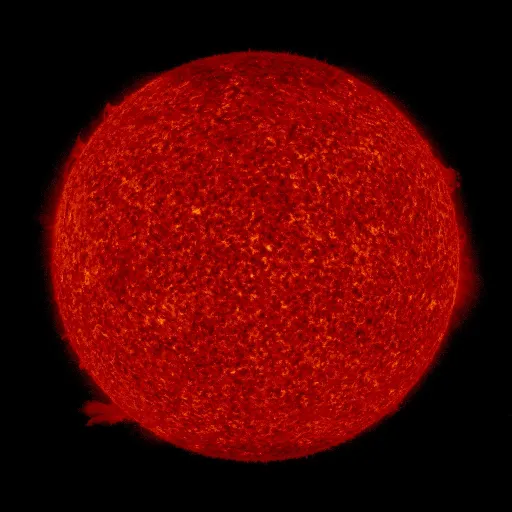 Solar transition region