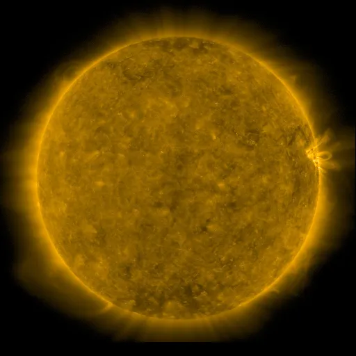 Solar Corona