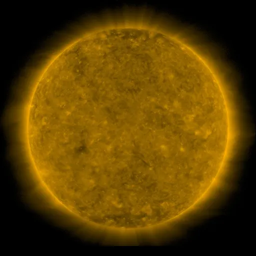 Solar Corona