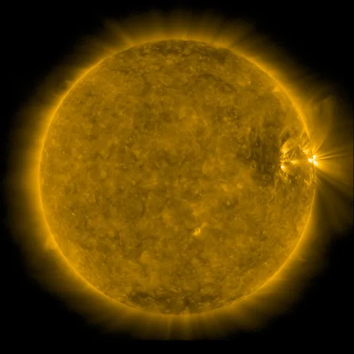 Solar Corona