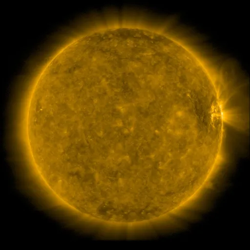 Solar Corona
