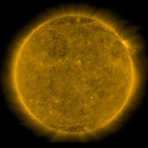 Solar Corona