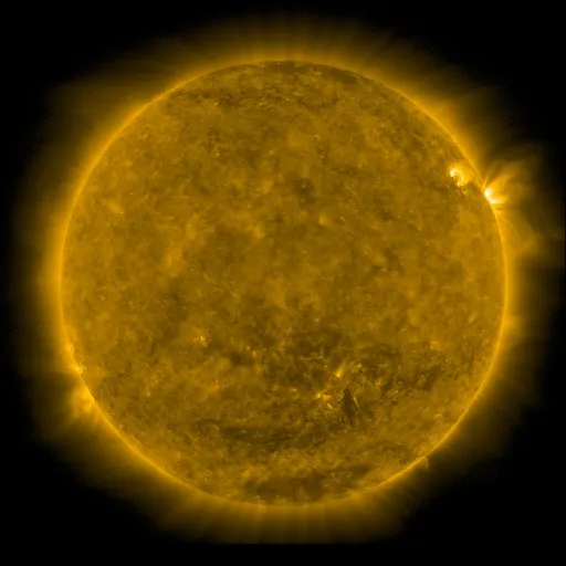 Solar Corona