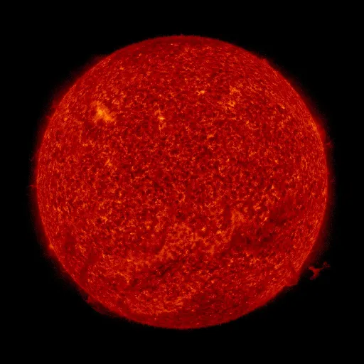 Solar transition region