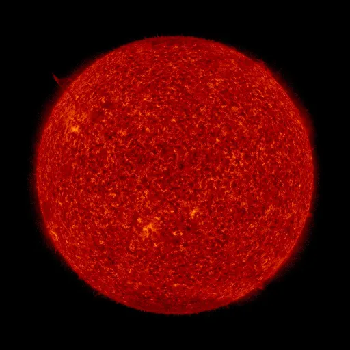 Solar transition region