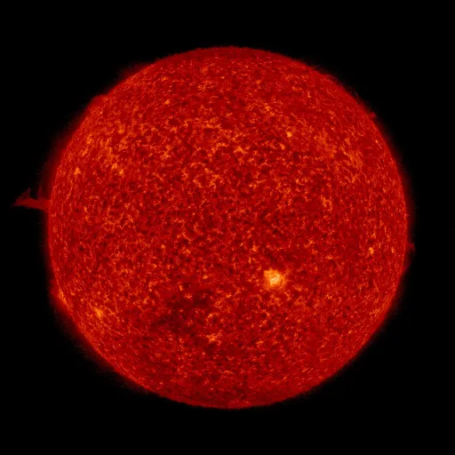 Solar transition region