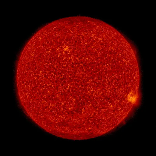Solar transition region