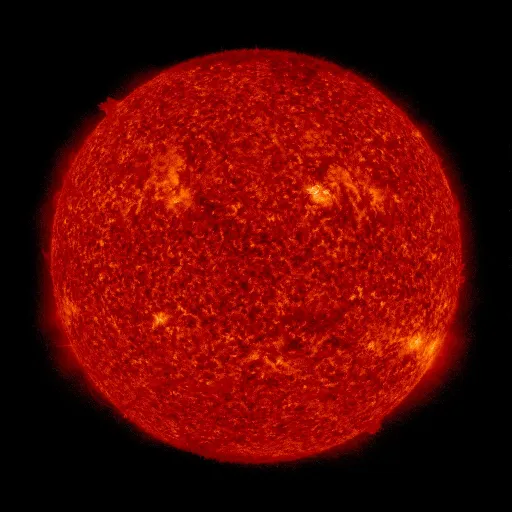 Solar transition region