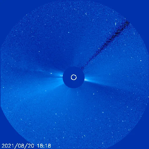 Outer Solar Corona
