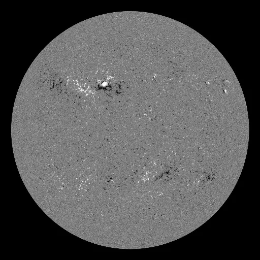 Solar Magnetic Fields