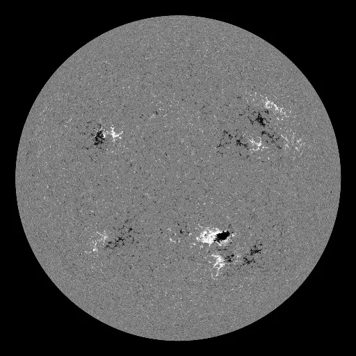 Solar Magnetic Fields