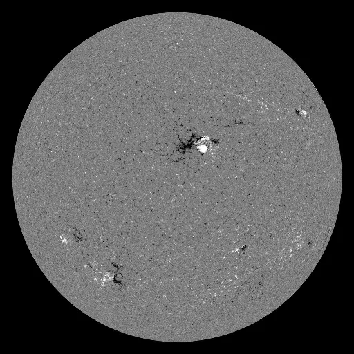 Solar Magnetic Fields