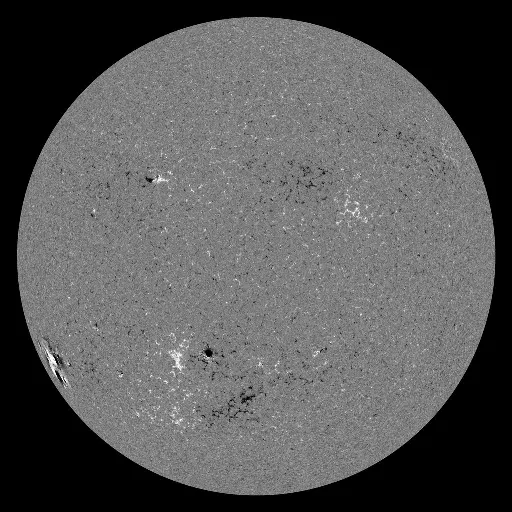 Solar Magnetic Fields