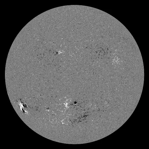 Solar Magnetic Fields