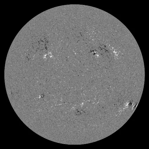 Solar Magnetic Fields