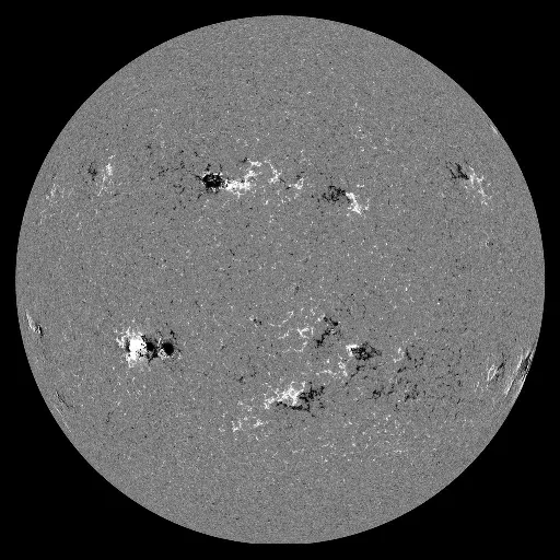 Solar Magnetic Fields