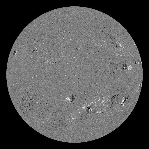 Solar Magnetic Fields