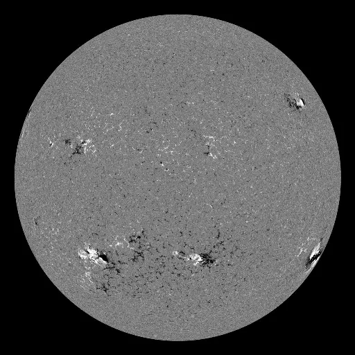 Solar Magnetic Fields