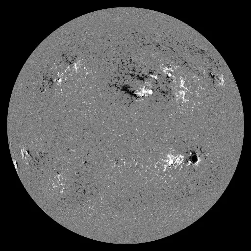 Solar Magnetic Fields