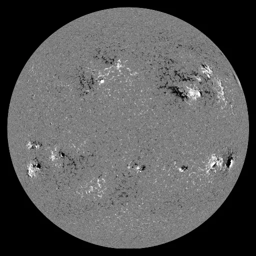 Solar Magnetic Fields