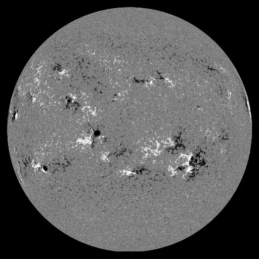 Solar Magnetic Fields