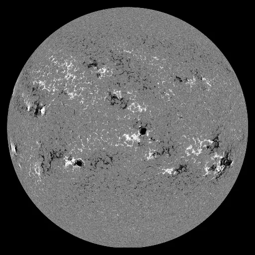 Solar Magnetic Fields