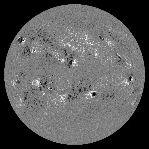 Solar Magnetic Fields