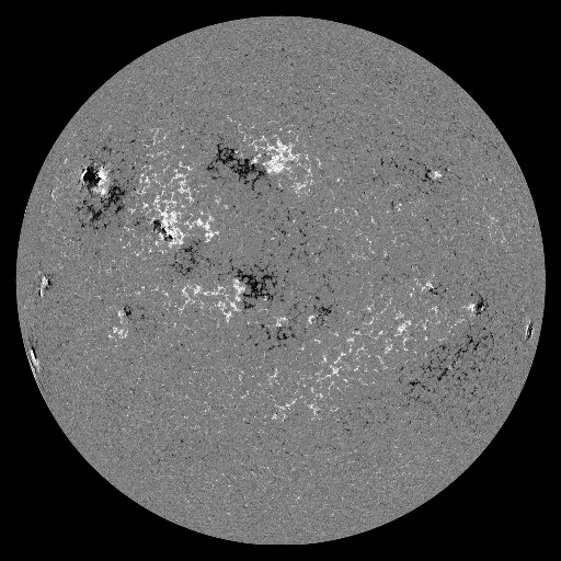 Solar Magnetic Fields