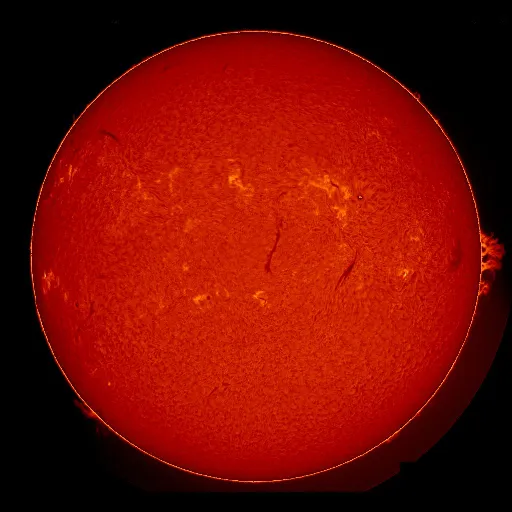 Solar Chromosphere