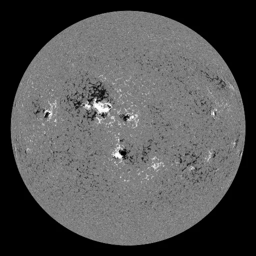 Solar Magnetic Fields