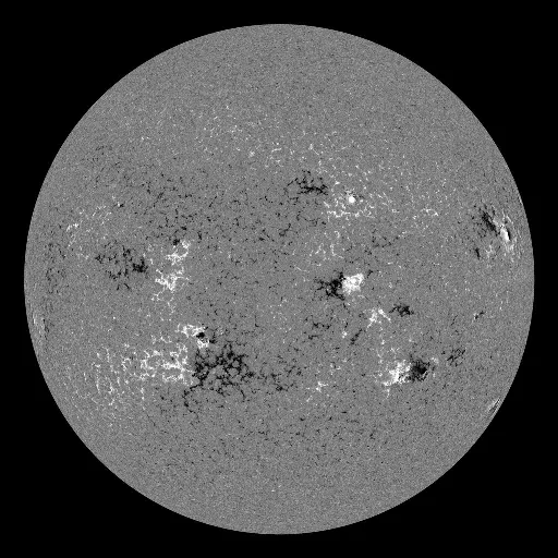 Solar Magnetic Fields