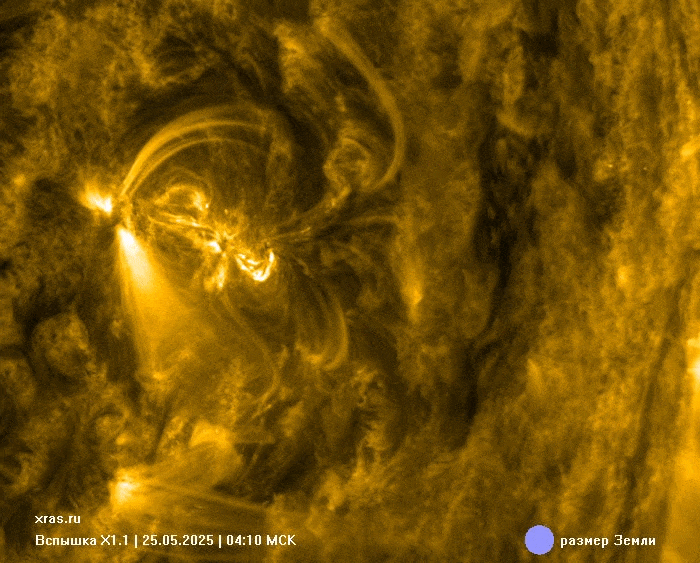  X1.1  25  2025  -  SDO/AIA   171 